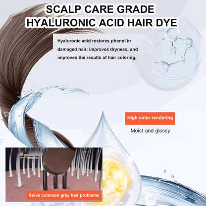 2 in 1 Comb Hair Dye